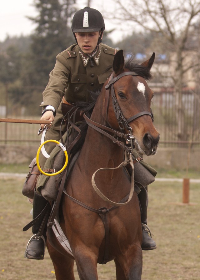 Army Reserve Soldier takes on the best during World Cavalry Championships