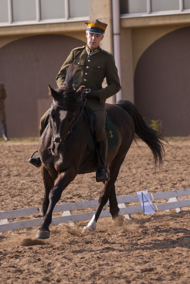 Army Reserve Soldier takes on the best during World Cavalry Championships