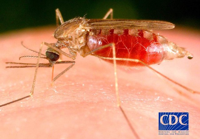 Protect yourself from West Nile virus