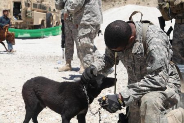 Redeploying Reserve Component Soldiers screened for rabies