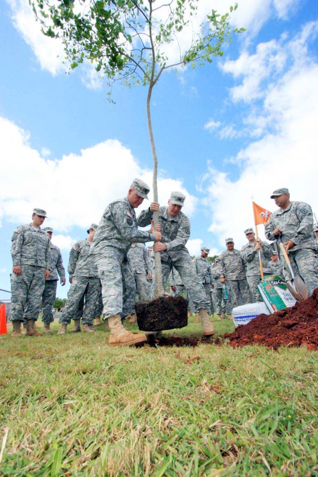 Planting Trees