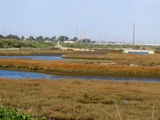 Public takes a look at Santa Ana River Marsh study