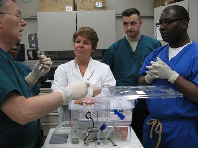 Kidney perfusion instruction