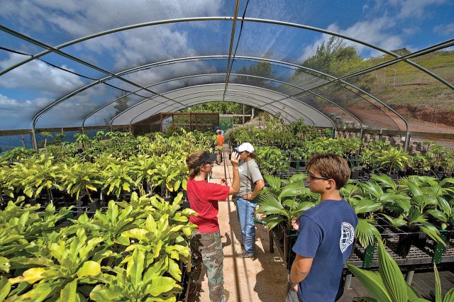 Upper elevation rare plant nursery