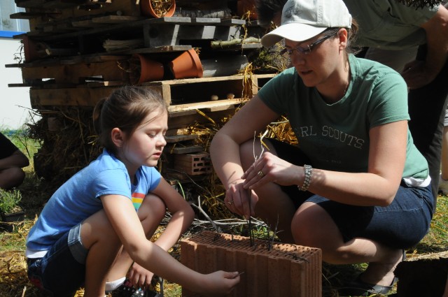 Crafting a home for critters