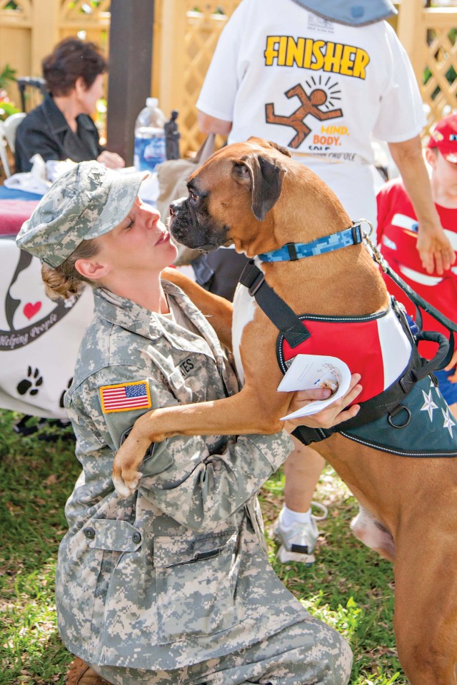 Military pets