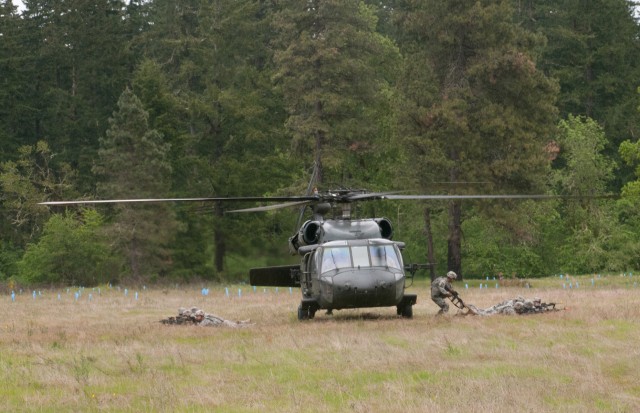 Assault Helicopter Battalion delivers troops anywhere