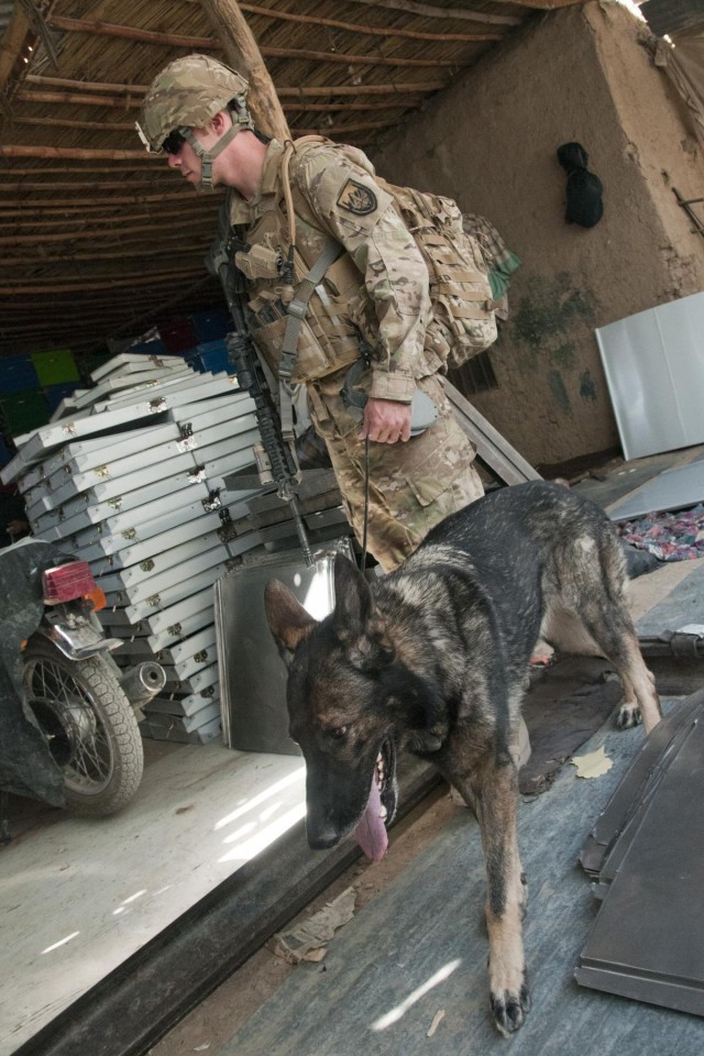 AUP and 58th MP Company conduct joint operation