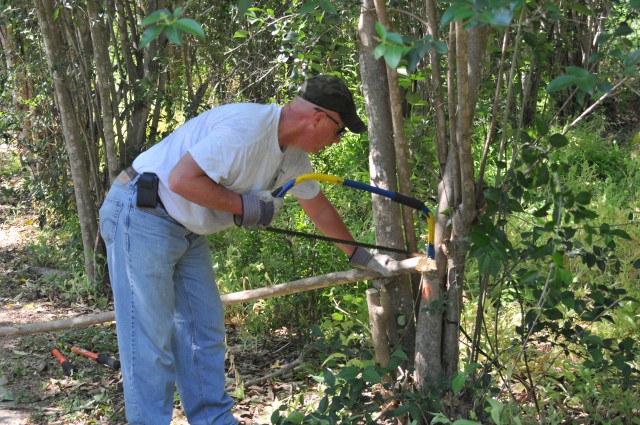 Clearing invasive plants