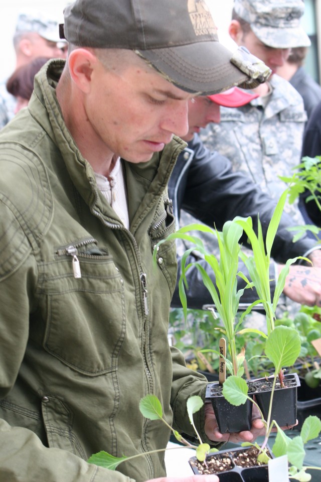 A Warrior in Transition, chooses vegetables for his container in the Warrior Garden.