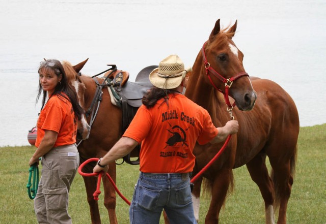 Search & Rescue Horses