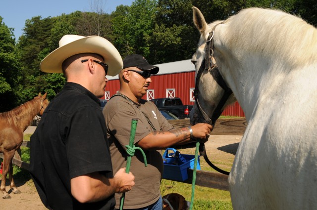 'Old Guard' Soldiers, horses assist wounded warriors with therapeutic riding