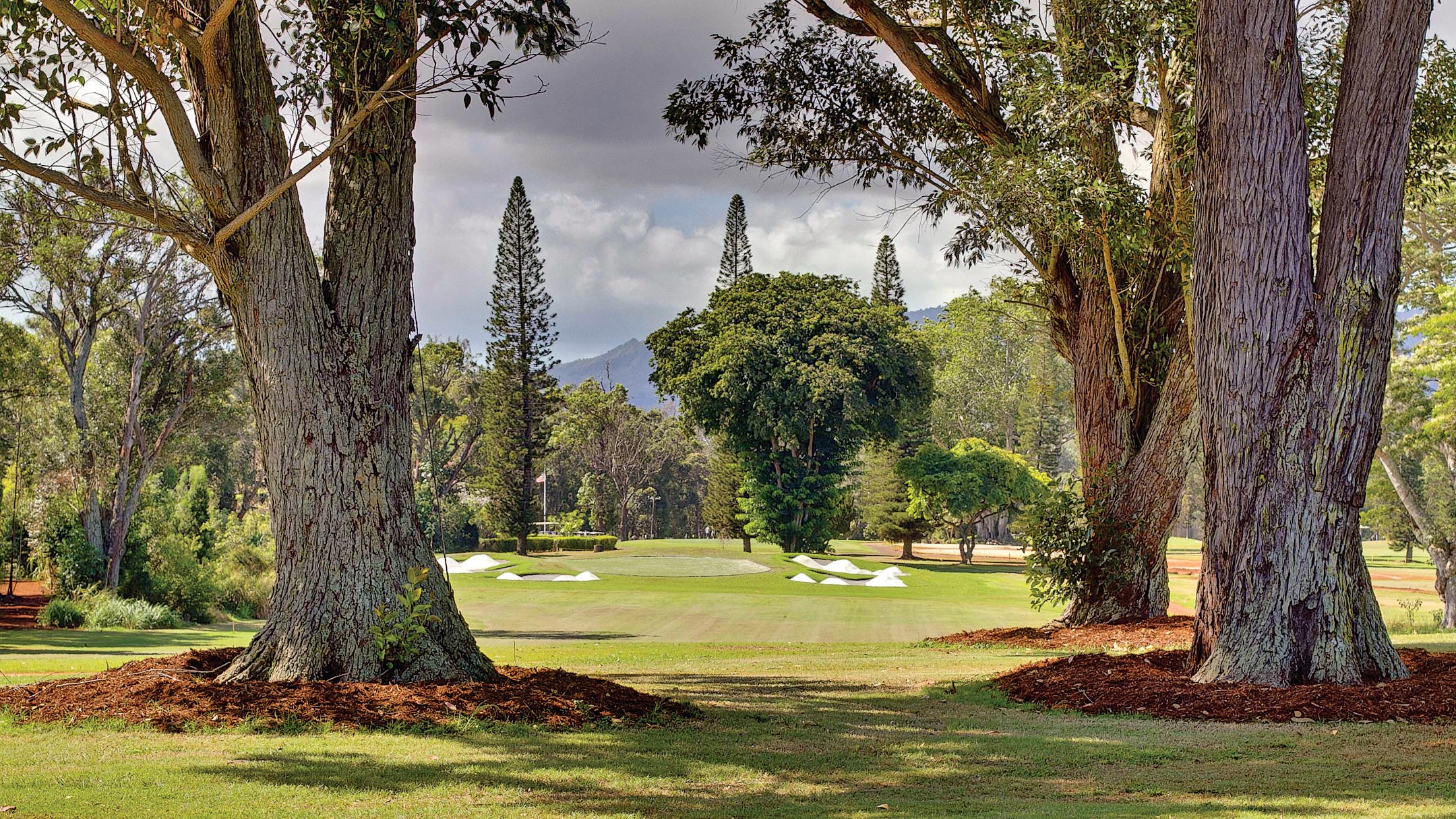 Renovation revitalizes the Army's busiest golf course Article The