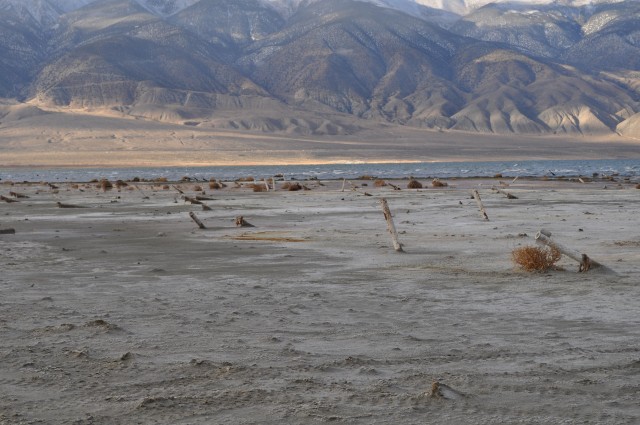 Environmental Clean Up at Walker Lake, Nevada