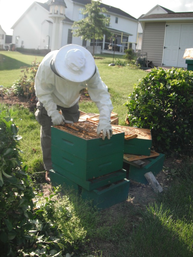 Bill Ryals, Beekeeper Extraordinaire 