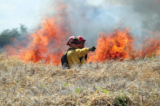 Controlled burn