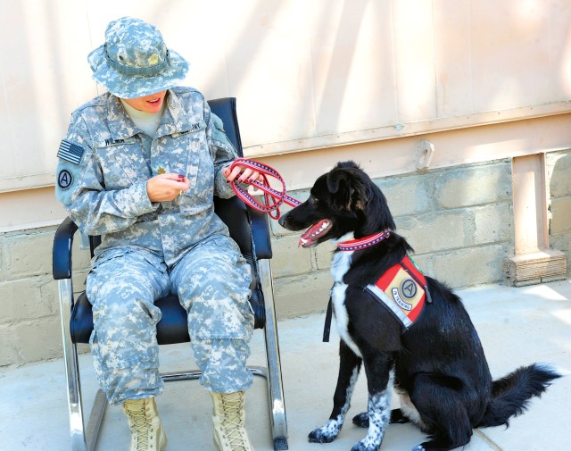 Human-animal bond program