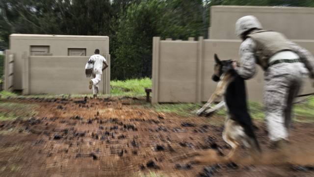 2012 Hawaiian Island Working Dog Competition