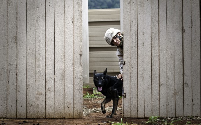 2012 Hawaiian Island Working Dog Competition