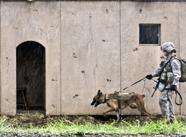 2012 Hawaiian Island Working Dog Competition