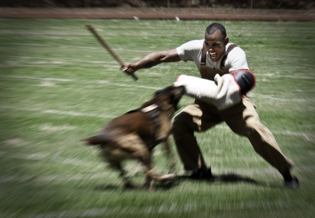 2012 Hawaiian Island Working Dog Competition