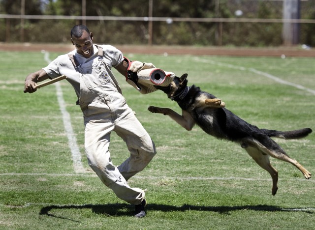 2012 Hawaiian Island Working Dog Competition