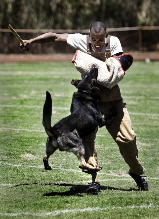 2012 Hawaiian Island Working Dog Competition