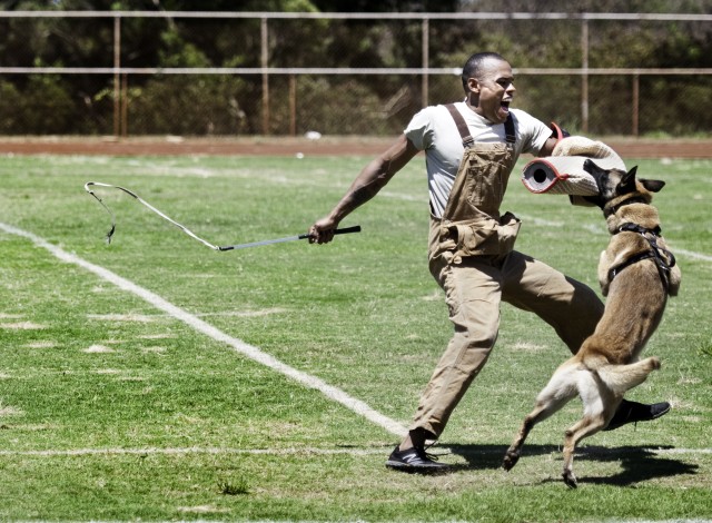 2012 Hawaiian Island Working Dog Competition