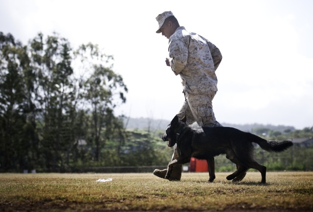 2012 Hawaiian Island Working Dog Competition