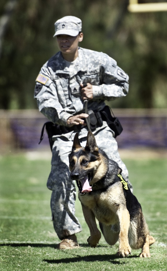 2012 Hawaiian Island Working Dog Competition