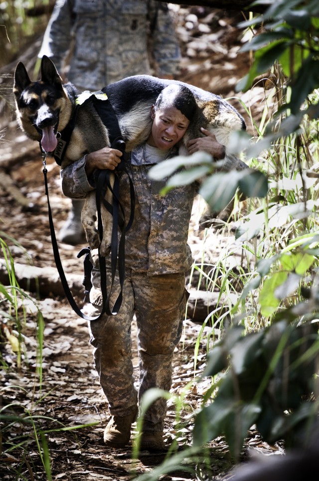 2012 Hawaiian Island Working Dog Competition