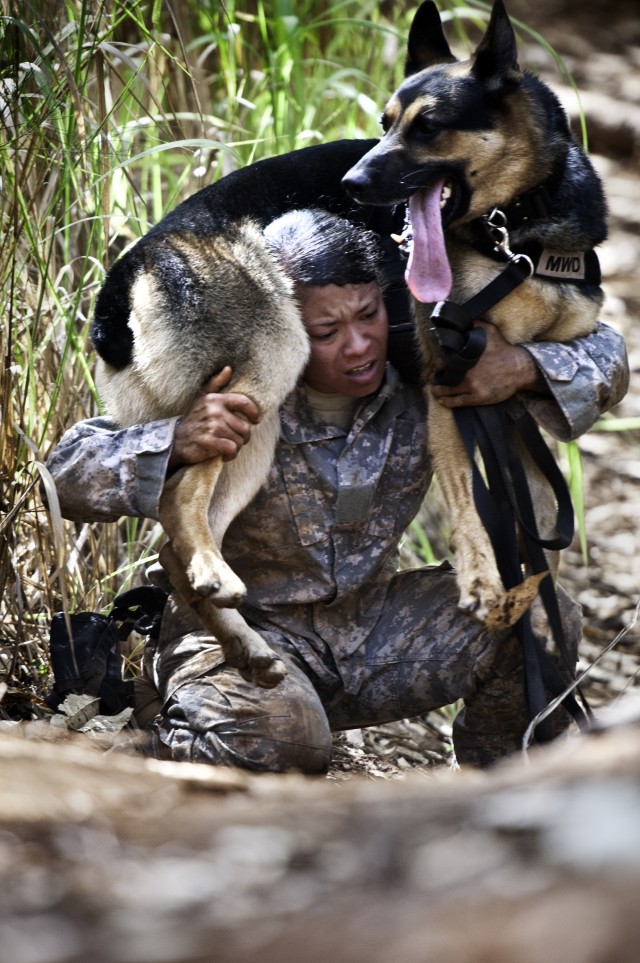 2012 Hawaiian Island Working Dog Competition