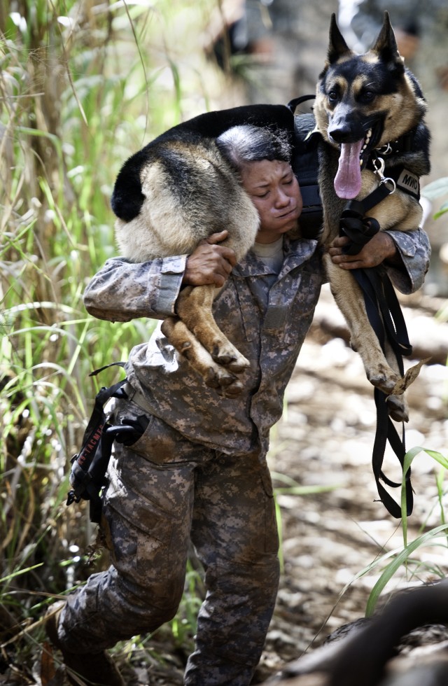 2012 Hawaiian Island Working Dog Competition