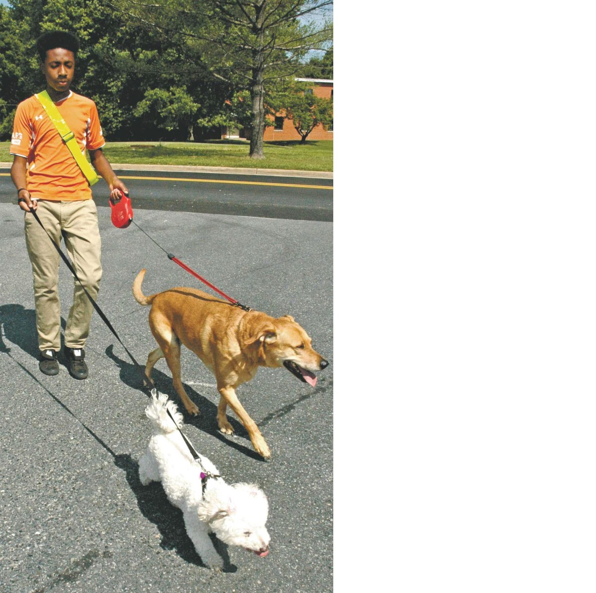 Odd Jobs Provide Alternative Employment For Teens Article The