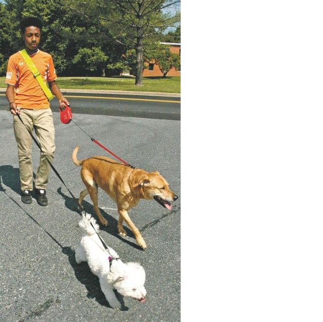 Odd jobs provide alternative employment for teens