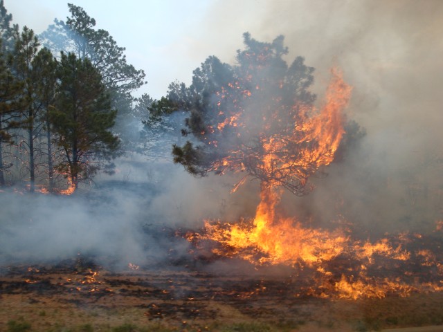 Fort Carson fire department supports city, county