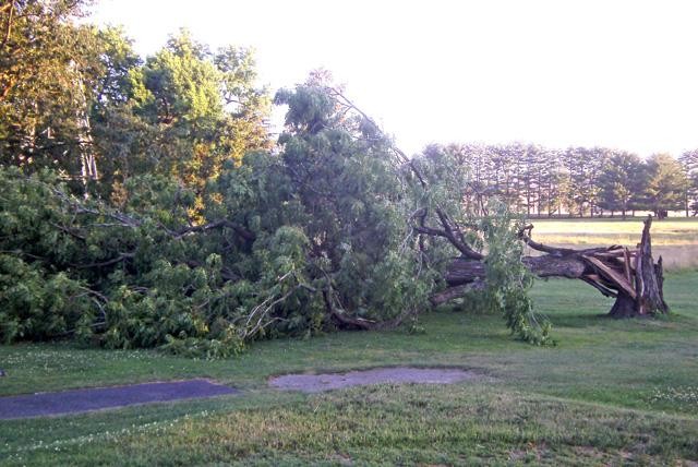 APG storm damage clean up continues