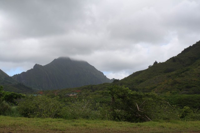 Army Corps of Engineers breaks ground on Hawaii marsh project