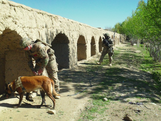 Searching Ghazni for explosives