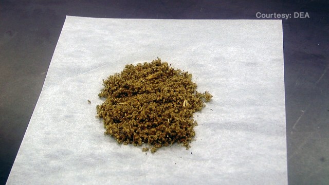 Salvia Divinorum