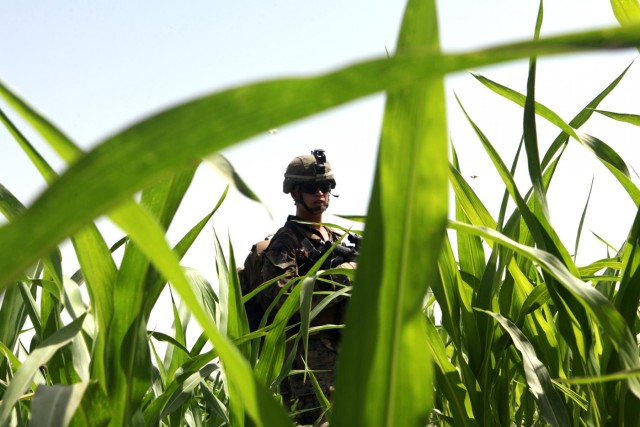 Afghans take lead in Operation Gospand-Sia