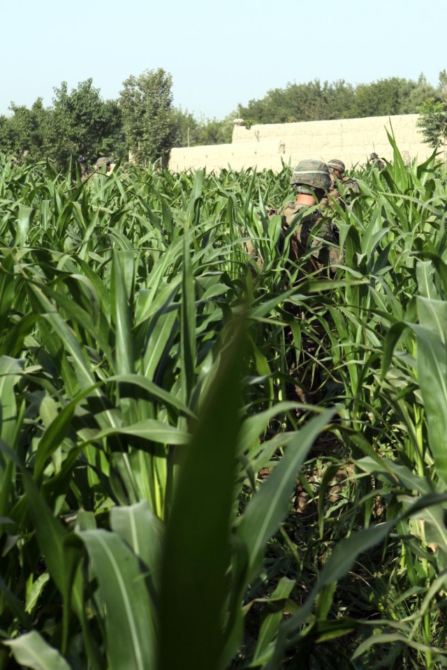 Afghans take lead in Operation Gospand-Sia