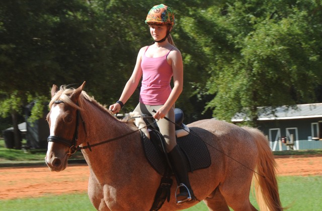 Riding Stables offers entertainment, Family fun