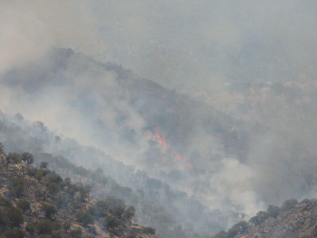 Monument fire, Cochise County, AZ 2011