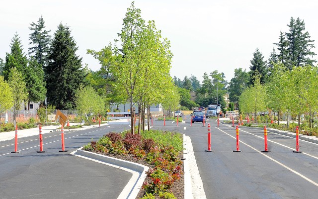 Trees and lanes