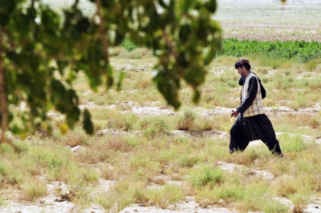 Making money without marijuana: Afghan farmers enabled to grow legal crops