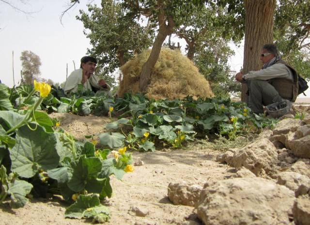 Making money without marijuana: Afghan farmers enabled to grow legal crops
