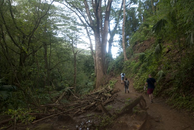 8th STB senior NCOs visit Manoa Falls, build camaraderie