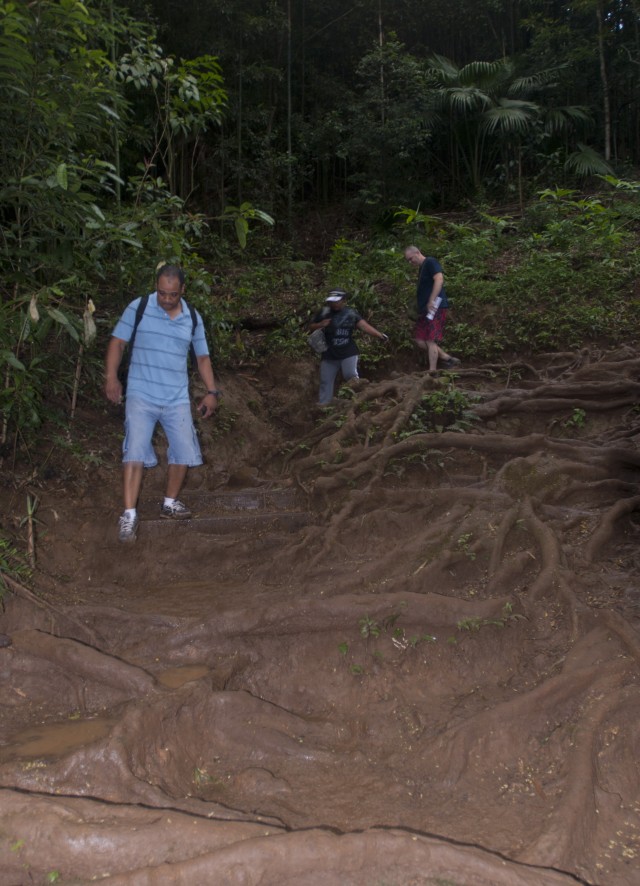 8th STB senior NCOs visit Manoa Falls, build camaraderie