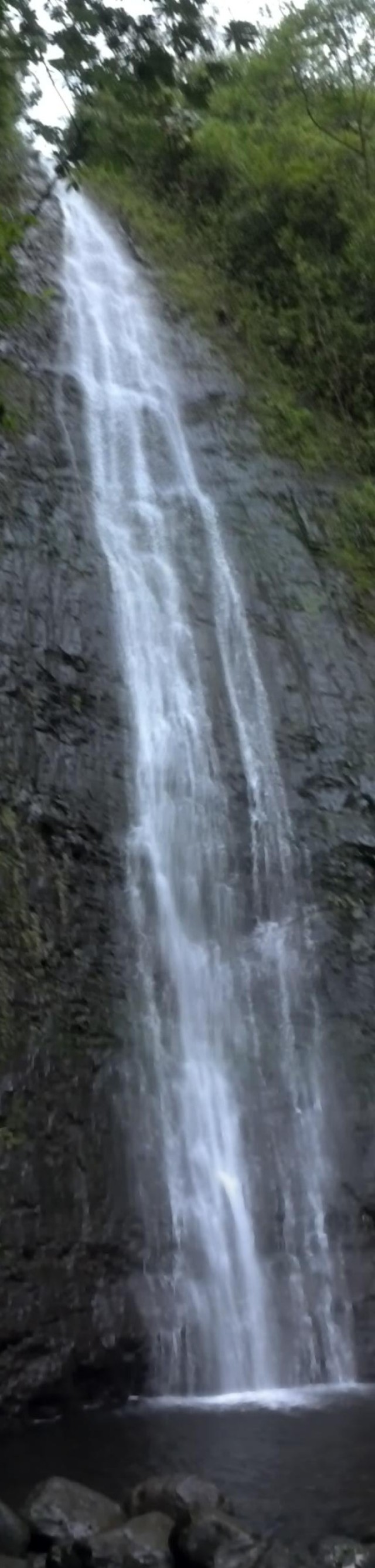 8th STB senior NCOs visit Manoa Falls, build camaraderie